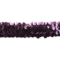 Sequin Trim 1 Inch Wide - Stretchable - 10 Yard Roll